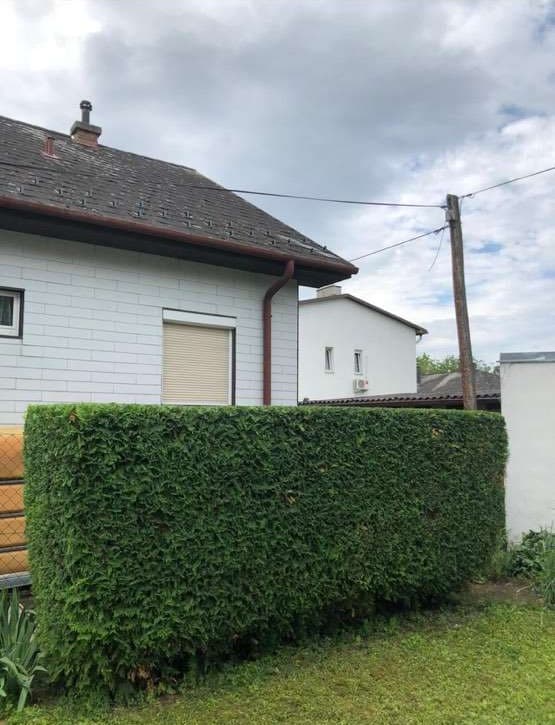 Sauber geschnittene Hecke